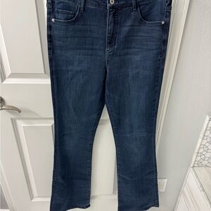 Anthropologie Letterpress Dark Blue Straight Leg Jeans 31 Tall